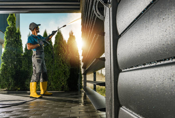 Best Building Exterior Washing  in Fern Acres, HI